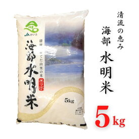 【ふるさと納税】 海部水明米 5kg 米 お米 ブレンド米
