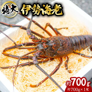 yӂ邳Ɣ[Łz ɐCV  700g 700g×1 ɐ ɐGr  CZGr CV  Gr CN CY C̍K   Y CN Mtg yNz^vzwz