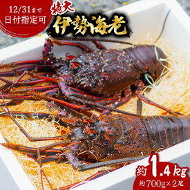 【ふるさと納税】 伊勢海老 特大 約1.4kg 約700g×2尾 伊勢えび 伊勢エビ いせえび イセエビ 海老 えび エビ 海鮮 海産物 海の幸 おせち 高級 国産 海鮮 ギフト 【年内配送／要配送日指定】