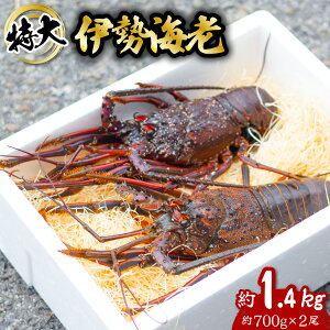 yӂ邳Ɣ[Łz ɐCV  1.4kg 700g×2 ɐ ɐGr  CZGr CV  Gr CN CY C̍K   Y CN Mtg yNz^vzwz