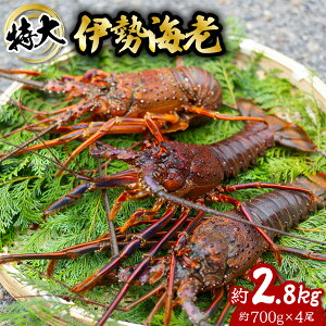 yӂ邳Ɣ[Łz ɐCV  2.8kg 700g×4 ɐ ɐGr  CZGr CV  Gr CN CY C̍K   Y CN Mtg yNz^vzwz