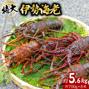 yӂ邳Ɣ[Łz ɐCV  5.6kg 700g×8 ɐ ɐGr  CZGr CV  Gr CN CY C̍K   Y CN Mtg yNz^vzwz