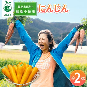 �y�ӂ邳�Ɣ[�Łz �l�Q ��2kg �͔|���Ԓ� �_��s�g�p �ɂ񂶂� �j���W�� ��� �J���e�� �H���@�� �͔|���Ԓ��_��s�g�p