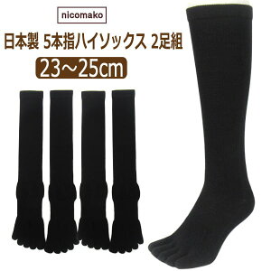 yӂ邳Ɣ[Łz ܖ{w nC\bNX \100 2 Zbgi23`25cm/wlTCY/ubNj5{w C  fB[X KtBbg \bNX    23`25cm wlTCY u