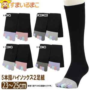 yӂ邳Ɣ[Łz ܖ{w nC\bNX \100 2 Zbgi23`25cm/wlTCY/ubN/wJtj 5{w C  fB[X \bNX  F   23`25cm wlTCY 