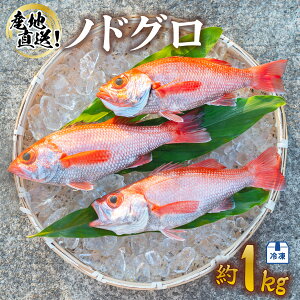 yӂ邳Ɣ[Łz mhO 1kg Yn Ⓚ  AJc ̂ǂ  gdʖ1kg 800g