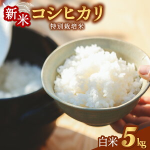 yӂ邳Ɣ[ŁzRVqJ ʍ͔|  5kg