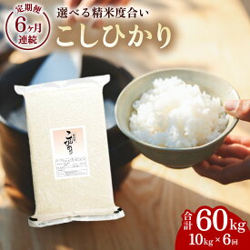 【ふるさと納税】こしひかり 玄米時重量 5kg×2袋×6回 6ヶ月連続 定期便 玄米時重量60kg 分づき米 対応可 真空パック コシヒカリ 米 簡易梱包 エコ梱包 分つき米 分付き米 ぶづきまい 白米 七分づき 7分づき 五分づき 5分づき 三分づき 3分づき 玄米