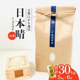 【ふるさと納税】先行予約 日本晴 白米 5kg×6回 6ヶ月連続 令和8年産 天然にがり栽培 にっぽんばれ 希少 品種 お寿司 ピラフ チャーハン 【2026年10月より順次発送】