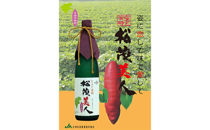 楽天市場 ふるさと納税 焼酎 芋焼酎 徳島 吉野川 ミネラルウォーター サツマイモ さつまいも 鳴門金時 松茂美人 お酒 酒 焼酎 徳島県松茂町