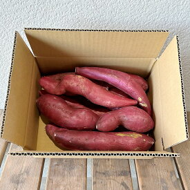 【ふるさと納税】ふぞろいさつまいも鳴門金時 2kg 野菜 徳島県産