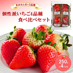 【ふるさと納税】「あまおとめ」+3品種 個性派いちご4品種食べ比べセット 250g×4パック 『とくしま安2(安全・安心)農産物』優秀認定取得 お届け:2025年12月30日〜2026年2月15日まで