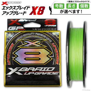 yӂ邳Ɣ[Łz yIׂ鍆EEz  PEC XBRAID UPGRADE X8 0.6`1.5 150`200m GbNXuCh AbvO[h [YGK  k 29ac0001] ygk peC PE pe ނ莅 ނ 