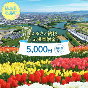 yӂ邳Ɣ[Łz yԗiȂzkւ̉ 1 5,000~ [k  k 29ba0003]  t   񕍂̂ t̂ ԗiȂ x