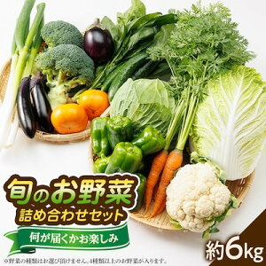 yӂ邳Ɣ[ŁzyŒցzqtEHE~r{̂؋lߍ킹Zbg6kgS3yzsnFzy4059808z