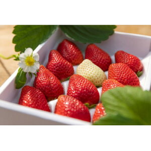 �y�ӂ邳�Ɣ[�Łz���j���p�@�������쒬�Y�������y�z���s�n��F�����E�k�C���E���ꌧ�E���k�E�֓��E�M�z�A�k���E���C�E��B�z�y1469571�z