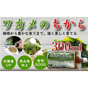 yӂ邳Ɣ[ŁzĴ@300CC{gy1566453z