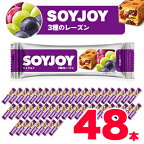 SOYJOY　ソイジョイ　3種のレーズン　48本【1245550】