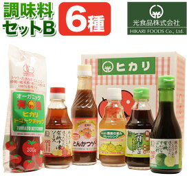 【ふるさと納税】＜光食品＞ 有機 調味料 セットB 6種 光食品 株式会社 《30日以内順次出荷(土日祝除く)》無添加 調味料 バラエティーセット 中農ソース とんかつソース ケチャップ ドレッシング ノンオイル 無農薬栽培 徳島県 上板町