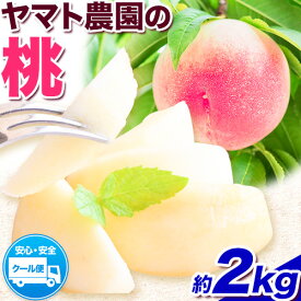 【ふるさと納税】【先行予約】 桃 選べる 2kg 4kg ヤマト農園 《6月下旬‐7月下旬出荷》| 桃 もも モモ 果物 フルーツ 季節のフルーツ はなよめ 日川白鳳 あかつき グレートジャンボあかつき 清水白鳳 山根 徳島県 上板町 【配送不可地域あり】