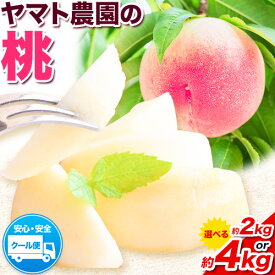 【ふるさと納税】【先行予約】 桃 選べる 2kg 4kg ヤマト農園 《6月下旬‐7月下旬出荷》| 桃 もも モモ 果物 フルーツ 季節のフルーツ はなよめ 日川白鳳 あかつき グレートジャンボあかつき 清水白鳳 山根 徳島県 上板町 【配送不可地域あり】