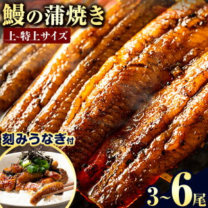 �y�ӂ邳�Ɣ[�Łz���N�������� ���Ȃ� �V�̊��� 3���`6�� �����݉V�t ����E�R���̃Z�b�g�s3-7�c�Ɠ��ȓ��ɏo��(�y���j����)�t| ���Ȃ� �V �V�̊��Ă� ���� ���� ���Y �I�ׂ� �y�p�̉N�̓� �E