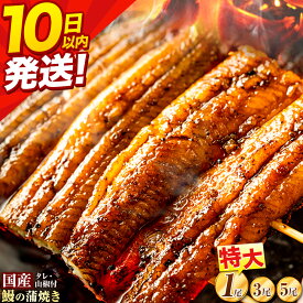 【ふるさと納税】☆数量限定『特大』1尾7500円 3尾15000円☆ うなぎ 蒲焼き1尾 3尾 5尾 《10日以内に出荷》ふるさと納税 うなぎ ふるさと納税 国産 うなぎ 簡易包装 送料無料 徳島県 上板町 うなぎ 鰻 ウナギ 蒲焼き たれ・山椒セット 簡単調理 湯煎 便利 うな重