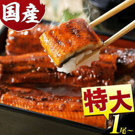 【ふるさと納税】最短3営業日発送！数量限定『特大』1尾7500円 3尾15000円 うなぎ 蒲焼き1尾 3尾 4尾 6尾 《3-7営業日出荷》ふるさと納税 うなぎ ふるさと納税 国産 うなぎ送料無料 徳島県 上板町 うなぎ 鰻 ウナギ 蒲焼き たれ・山椒セット 簡単調理 贈答用