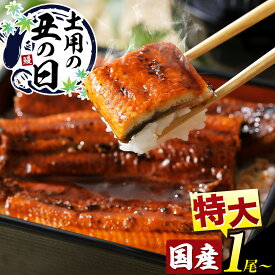 【ふるさと納税】土用の丑の日予約！数量限定『特大』1尾 3尾～6尾 きざみ鰻付 《3-7営業日出荷》ふるさと納税 うなぎ 鰻 鰻の蒲焼き 高級 徳島県 上板町 ウナギ 土用の丑の日 贈答 夏ギフト