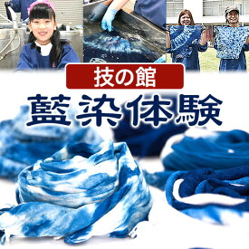 【ふるさと納税】日本伝統工芸 藍染体験 一般社団法人ジャパンブルー上板《30日以内順次出荷(土日祝除く)》 藍染 藍染め 体験 技の館 予約 チケット 徳島県 上板町