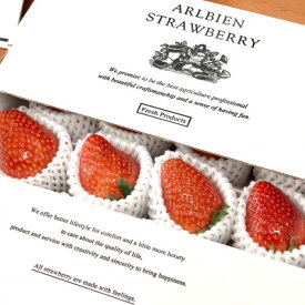 【ふるさと納税】【アスカルビー】ARLBIEN(大箱)大玉(5L以上)【配送不可地域：離島】【1522195】