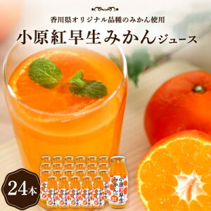 yӂ邳Ɣ[Łzg݂W[Xy1605638z