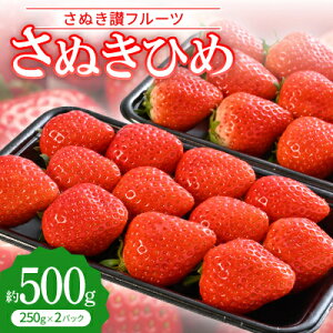 yӂ邳Ɣ[Łzuʂ]t[cvʂЂ @500gyߘa8N1`3zyzsnFzy1608470z