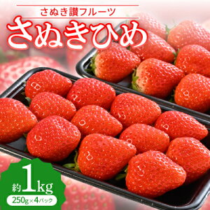 yӂ邳Ɣ[Łzuʂ]t[cvʂЂ 1kgyߘa8N1`3z_   ʕ t[c ʂЂ Y x Ԍ Zbg 1kg  Mtg 쌧 yzsn