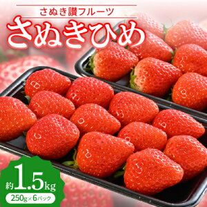yӂ邳Ɣ[Łzuʂ]t[cvʂЂ @1.5kg(250g×6pbN)yߘa8N1`3zyzsnFzy1608474z