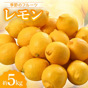 yӂ邳Ɣ[ŁzG߂̃t[cuv5kgyߘa7N11`ߘa8N4zy1609440z
