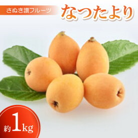 【ふるさと納税】さぬき讃フルーツ「なつたより」約1kg【令和9年5月中旬～6月下旬発送】【配送不可地域：離島】【1609800】