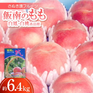 【ふるさと納税】さぬき讃フルーツ「飯南のもも(白鳳・白桃系品種)」約6.4kg 【令和8年7月発送】【配送不可地域:離島】【1609803】