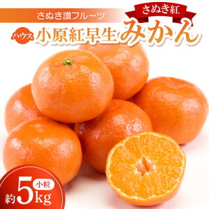 【ふるさと納税】さぬき讃フルーツ「ハウス小原紅早生みかん(さぬき紅)」小粒約5kg 【令和8年7〜8月発送】【配送不可地域:離島】【1609810】