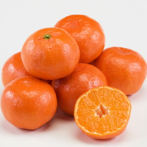 yӂ邳Ɣ[Łzʂ]t[cunEXg݂(ʂg)v2kgyߘa8N7`8zyzsnFzy1609816z