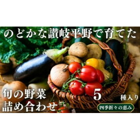【ふるさと納税】のどかな讃岐平野で育てた 旬の野菜 詰め合わせセット5種【配送不可地域：離島】【1610457】
