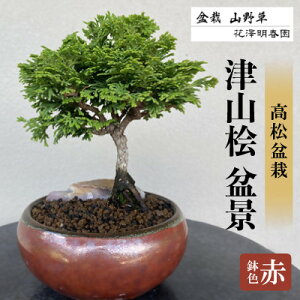 yӂ邳Ɣ[ŁzÎRO@~i@qԔry1610964z