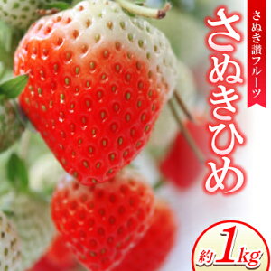 yӂ邳Ɣ[Łzʂ]t[cuʂЂ߁v1kg yߘa8N1{菇zyzsnFzy1611393z