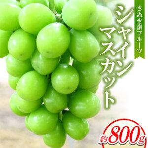 yӂ邳Ɣ[Łzʂ]t[cuVC}XJbgv800g y8`9菇zyzsnFzy1611395z