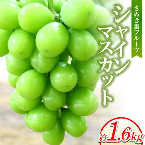 yӂ邳Ɣ[Łzʂ]t[cuVC}XJbgv1600g y8`9菇zyzsnFzy1611396z