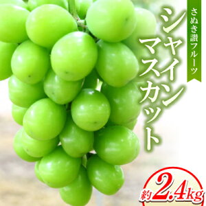 【ふるさと納税】さぬき讃フルーツ「シャインマスカット」約2400g 【8〜9月より順次発送】【配送不可地域:離島】【1611397】