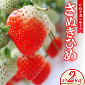 �y�ӂ邳�Ɣ[�Łz���ʂ��]�t���[�c�u���ʂ��Ђ߁v��2kg �y�ߘa8�N1�`3����菇�������z�y�z���s�n��F�����z�y1611398�z