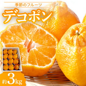 yӂ邳Ɣ[ŁzG߂̃t[cufR|v3kgyߘa8N2`3z_ fR| k ʕ t[c Y 3kg Zbg Ԍ  Mtg  쌧Y yzsnFzy16