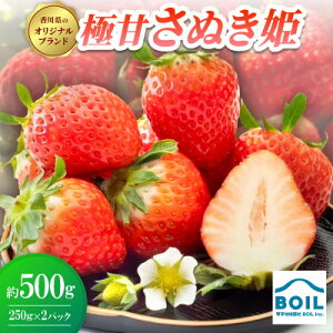 �y�ӂ邳�Ɣ[�Łz�ɊÂ��ʂ��P�@��500g(250g×2�p�b�N)�y�z���s�n��F�����E�k�C���E���ꌧ�z�y1678249�z