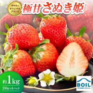 �y�ӂ邳�Ɣ[�Łz�ɊÂ��ʂ��P�@��1kg(250g×4�p�b�N)�y�z���s�n��F�����E�k�C���E���ꌧ�z�y1678250�z